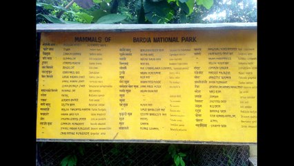 Bardia National Park Nepal Tour |  Best Wildlife Tour Experience