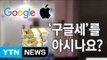 '구글세' 도입 근거 마련...다국적기업 이익 공개하라 / YTN (Yes! Top News)