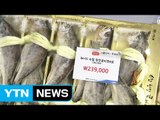 5만원짜리 선물 개발...대책 마련 부심 / YTN (Yes! Top News)