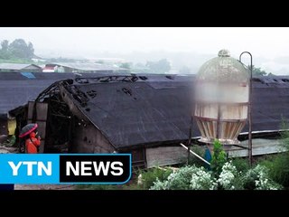 잇단 낙뢰 피해...빗길 교통사고도 이어져 / YTN (Yes! Top News)