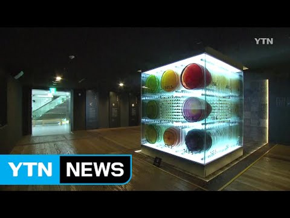 수도권 폭염주의보...문화 즐기며 더위 극복 / YTN (Yes! Top News)