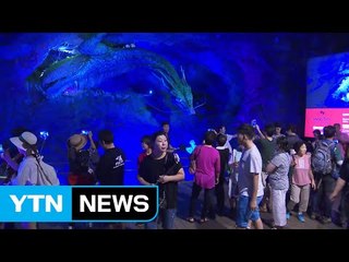 더위 식히고 공연도 보는 동굴 피서 / YTN (Yes! Top News)