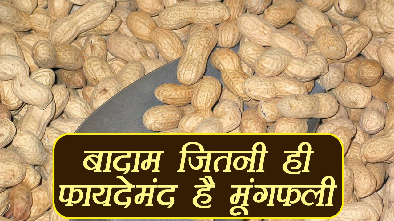 मूंगफली, Peanut Health Benefits | सर्दियों में सेहतमंद है मूंगफली | Boldsky
