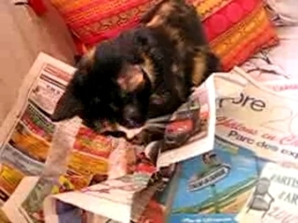 Violette et le journal-les nouvelles de Violette