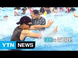 [영상] 여름을 즐겨라! / YTN (Yes! Top News)