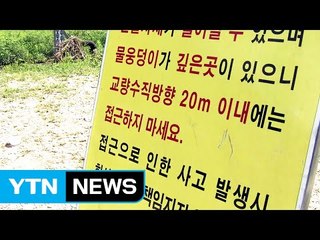 사람 잡는 다슬기...올 들어 열 명 이상 숨져 / YTN (Yes! Top News)