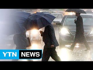 폭염 속 강력 소나기...낙뢰 하루 1만 번 쳤다 / YTN (Yes! Top News)