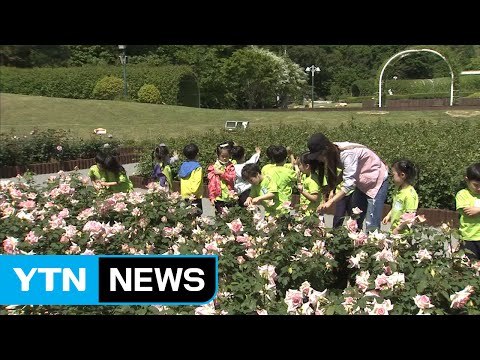 [울산] '울산 어린이 테마파크' 사업 본격화...내년 개관 / YTN (Yes! Top News)