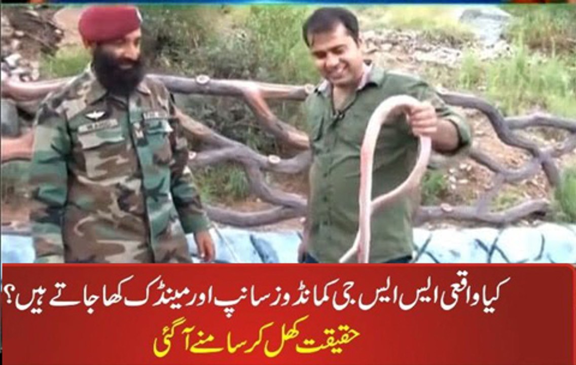 ssg