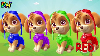 Colors for kids to Learn with PAW Patrol SKYE Wrong Makeup Lipstick The Alphabet Song Nursery Rhymes-CI1_offCLCs