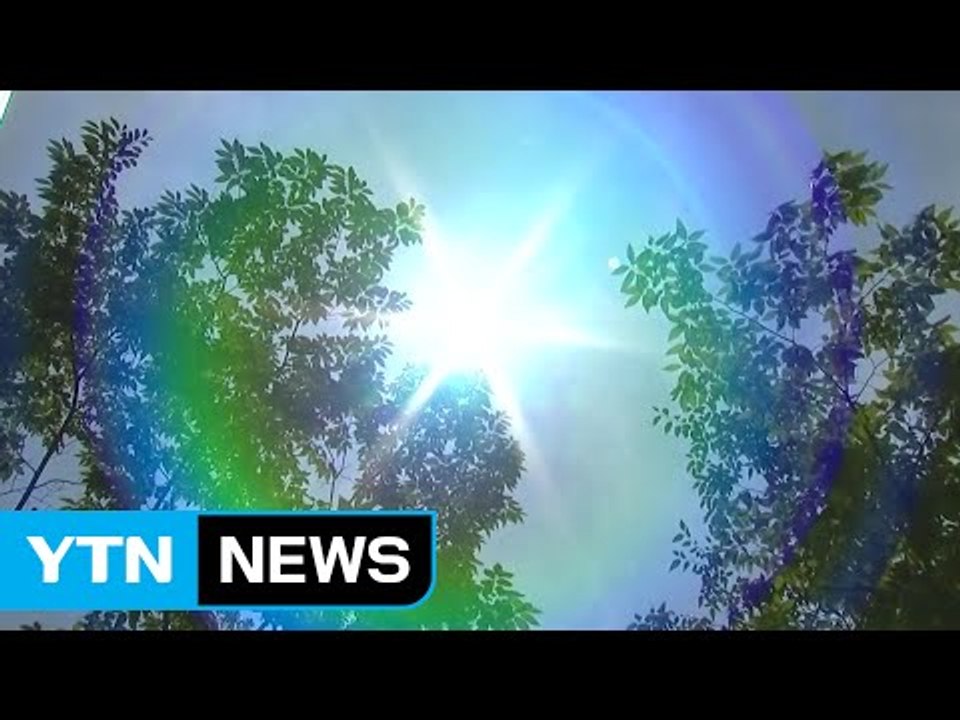 [날씨] 여름 폭염 절정, 서울 36℃...주말도 폭염 / YTN (Yes! Top...