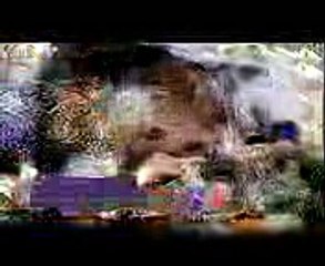 YURI E MONICK VOLTARAM A FAZENDA NOVA CHANCE 1211 2017