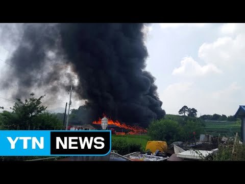 충남 천안 양계장서 불...4만여 마리 떼죽음 / YTN (Yes! Top News)