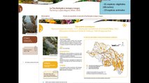 Stratégies de gestion des espèces exotiques envahissantes du bassin Loire-Bretagne