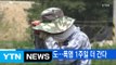 [YTN 실시간뉴스] 경북 의성 37.8도…폭염 1주일 더 간다 / YTN (Yes! Top News)