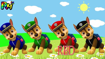 Learn Colors Paw Patrol CHASE Wrong Color Face HERO MASK The Alphabet Song Colors for kids-U_OhkubDJps