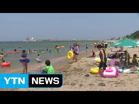 경북 의성 36.7도, 올여름 최고...폭염 피해 숲과 바다로 / YTN (Yes! Top News)