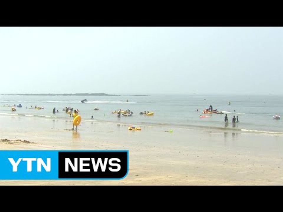 펄펄 끓는 무더위에 해수욕장 피서 절정 / YTN (Yes! Top News)