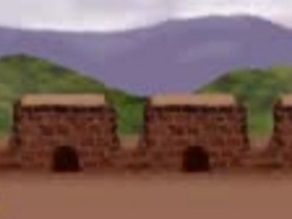 WoodyCombo4