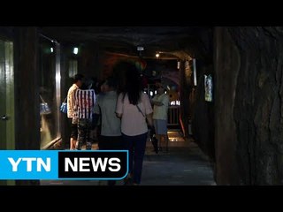 '자연 에어컨' 폐광에서 무더위 탈출 / YTN (Yes! Top News)