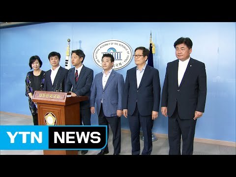 '사드 방중' 의원단 귀국... 국익 생각해 일정 소화 / YTN (Yes! Top News)