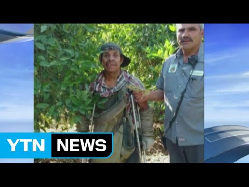한쪽 다리로 오렌지 줍던 농부에게 일어난 기적 / YTN (Yes! Top News)