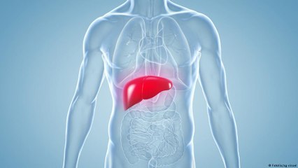 O alimentos que podem causar hepatite E