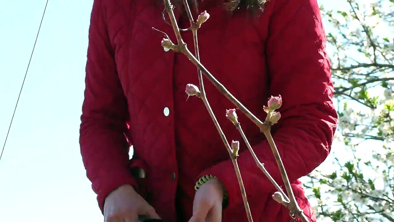 Мама в Шоке! Маргарита Одна Дома! ЧТО ПРОИЗОШЛО! KIDS Children Prank their Mommy Hidden Crying Baby-j8ITFW9rJAw