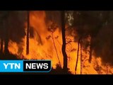 유럽, 대형 산불 잇따라...포르투갈서 4명 사망 / YTN (Yes! Top News)