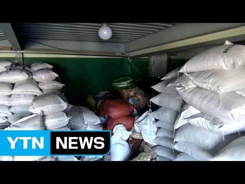 보따리상이 사 온 농산물 유통한 일당 덜미 / YTN (Yes! Top News)
