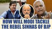 Shatrughan Sinha and Yashwant Sinha : How will PM Modi tackle rebel leaders | Oneindia News