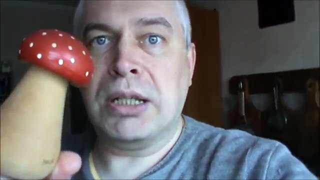 ПАРОДИЯ НА ВИДЕО ГРИБАБАС ГРОЗА ТОПОРОВ ОТ ГЕННАДИЯ ГОРИНА