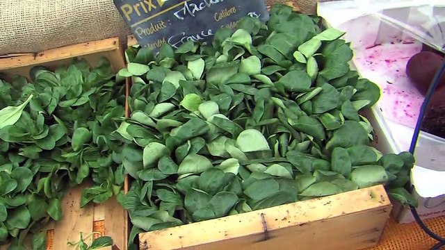 Des légumes jouent les prolongations et des fleurs arrivent en avance