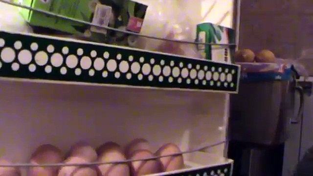 Что вы делаете в моём холодильнике — Геннадий Горин