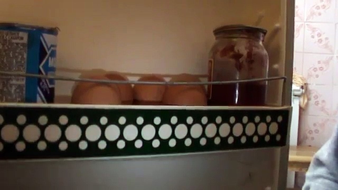 Я НЕ ПОНЯЛ, ЧТО ВЫ ДЕЛАЕТЕ В МОЁМ ХОЛОДИЛЬНИКЕ — Геннадий Горин