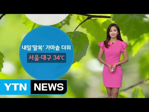 [날씨] 내일 '말복'...내륙 곳곳 소나기 / YTN (Yes! Top News)