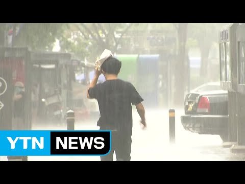 효자 소나기에 폭염 주춤...서울 열흘 만에 경보 해제 / YTN (Yes! Top News)