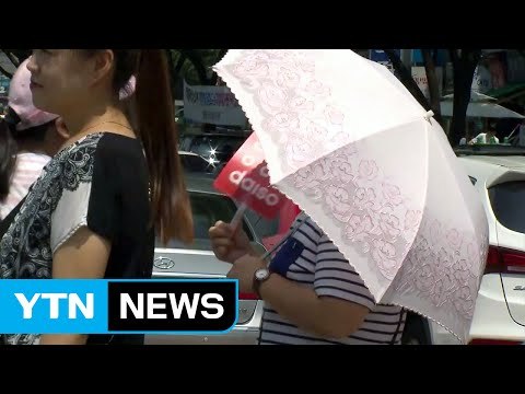 [날씨] 식지 않는 말복 더위...내륙 곳곳 소나기 / YTN (Yes! Top News)