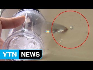 [단독] "코웨이 다른 모델에서도 금속가루" 추가 피해 정황 / YTN (Yes! Top News)