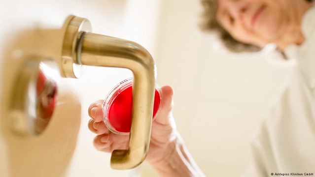 Teste de higiene: com quantas bactérias entramos em contato por dia?