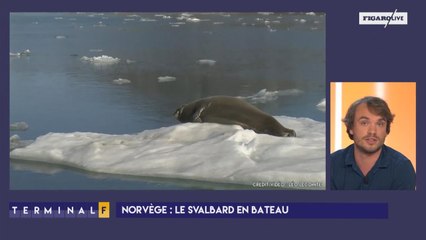 Le Svalbard, terrain d'expérimentation pour le tourisme durable