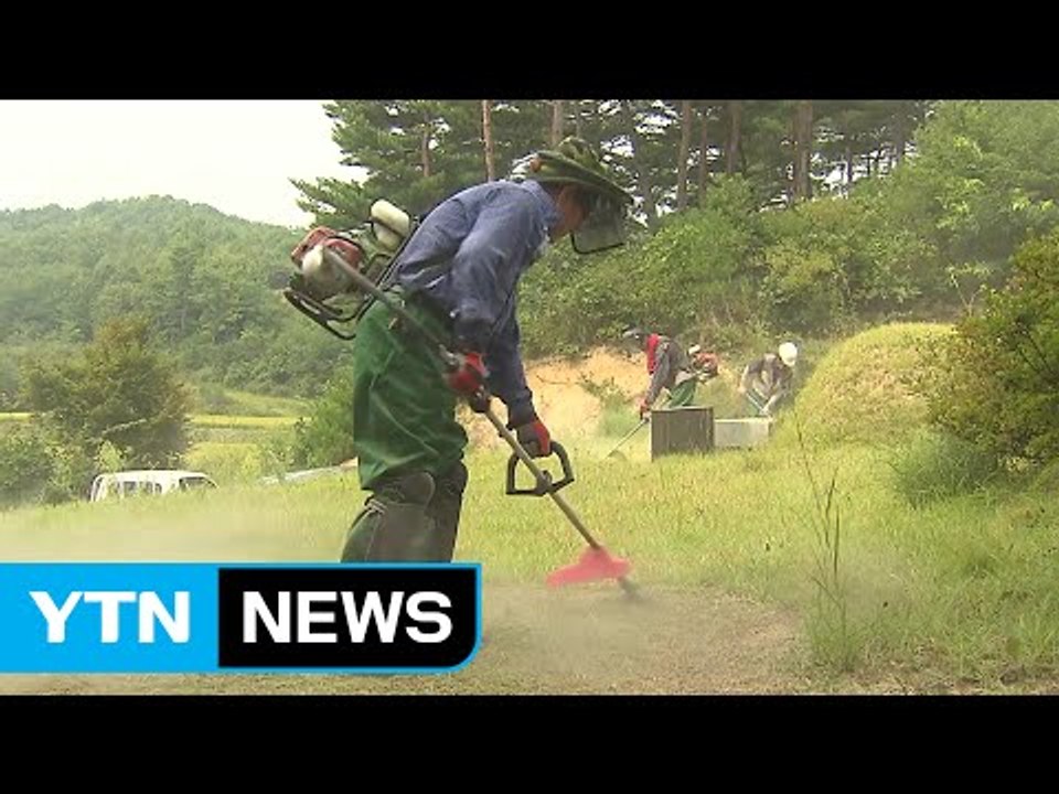 추석 앞두고 벌초 대행 신청 봇물...8월까지 신청해야 / YTN (Yes! Top...