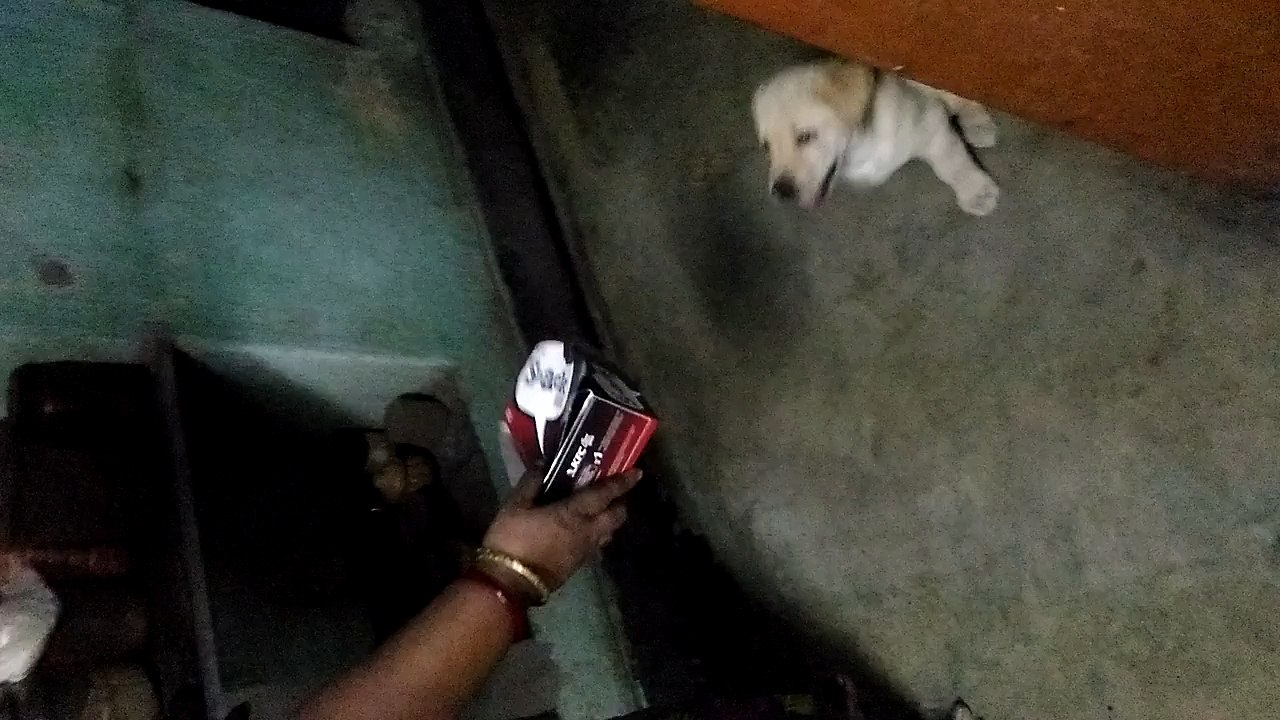 judo