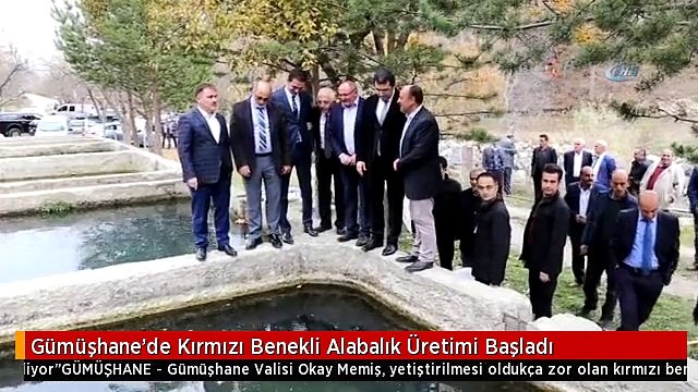 Gümüşhane'de Kırmızı Benekli Alabalık Üretimi Başladı