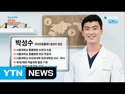 강아지가 절뚝거리면? 반려견의 슬개골 탈구 의심해야 / YTN (Yes! Top News)