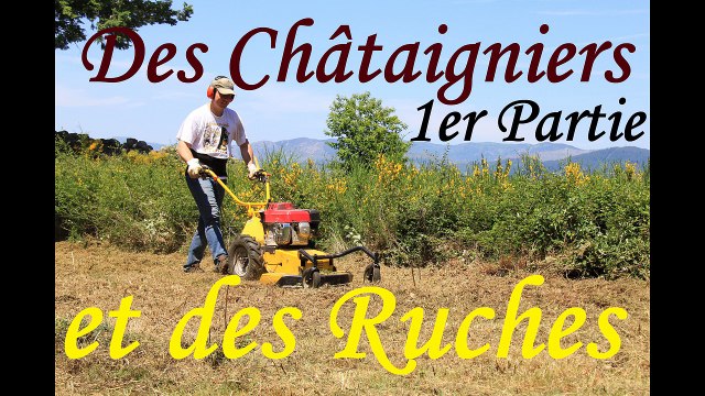 APICULTURE. BEEKEEPING. E11 - Châtaigniers 1er Partie Débroussaillage et transhumance des ruches