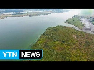 녹색연합, "금강 녹조 해결 위해 보 철거해야" / YTN (Yes! Top News)