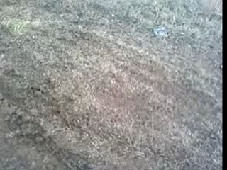 01200 CHATILLON EN MICHAILLE