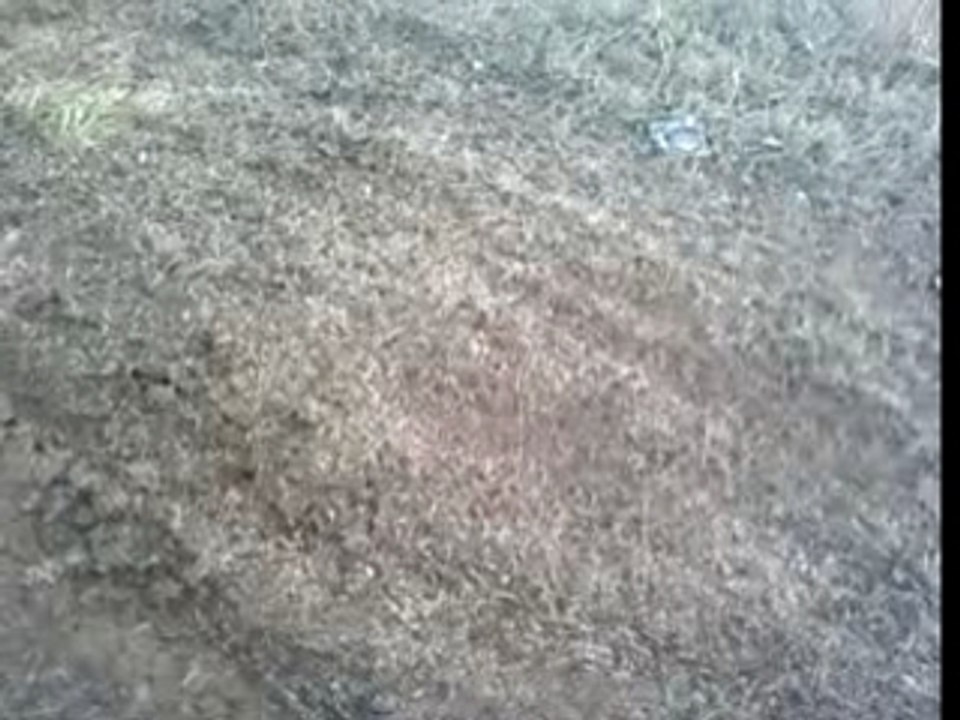 01200 CHATILLON EN MICHAILLE