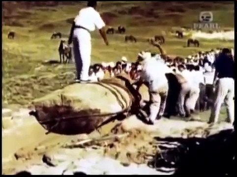 What Really Happened On Easter Island?? The Mystery of Easter Island